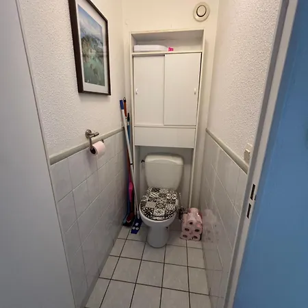 Royan 福克斯索梅尔